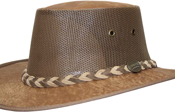 Brown leather cowboy hat with braided band
