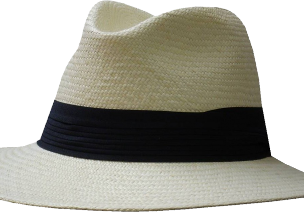 Wide-brimmed Panama hat