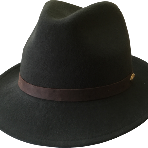 Black fedora with brown band